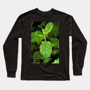 Mint plant leaves Long Sleeve T-Shirt